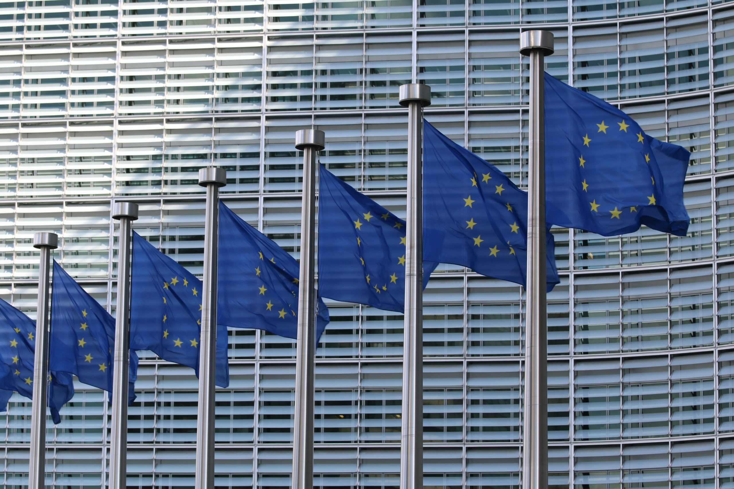 EU-Flaggen: EU-US-Datenschutzschild