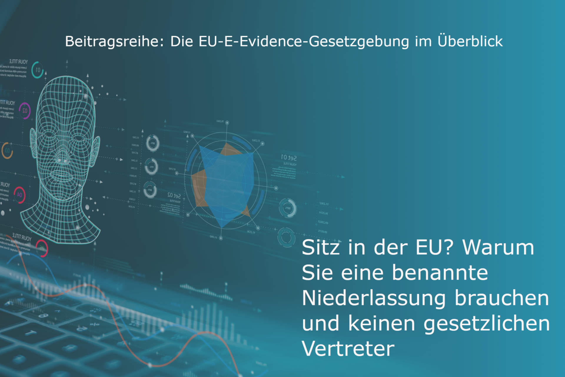 Vorschautext zu E-Evidence benannte Niederlassung, designated establishment