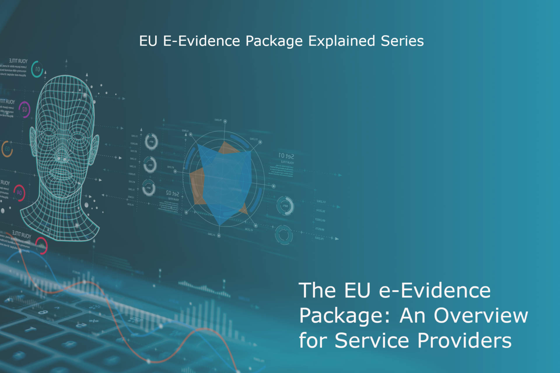 Preview text on an e-evidence requirements overview