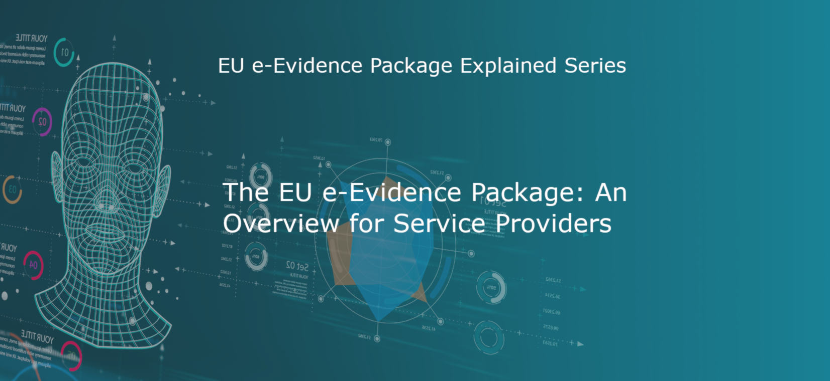 Preview text on an e-evidence requirements overview